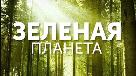 Зеленая планета 1